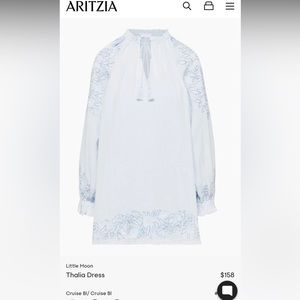 Little Moon - Blue Thalia Dress - Aritzia